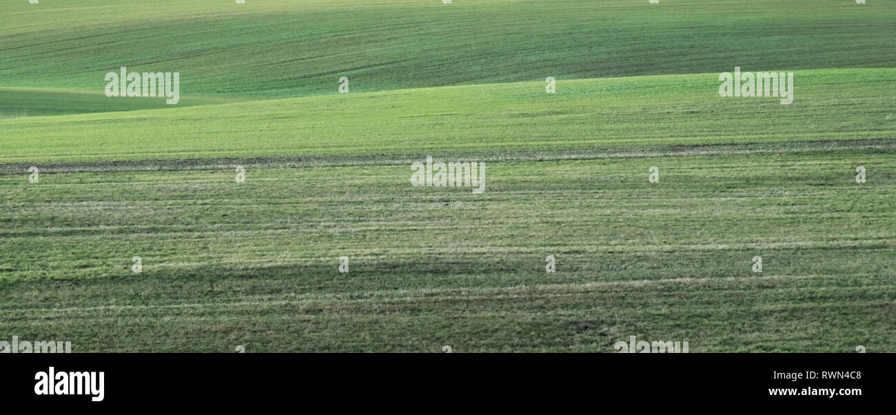 Ein frisches grünes Feld einfach und elegant mit Hügeln Stockfoto