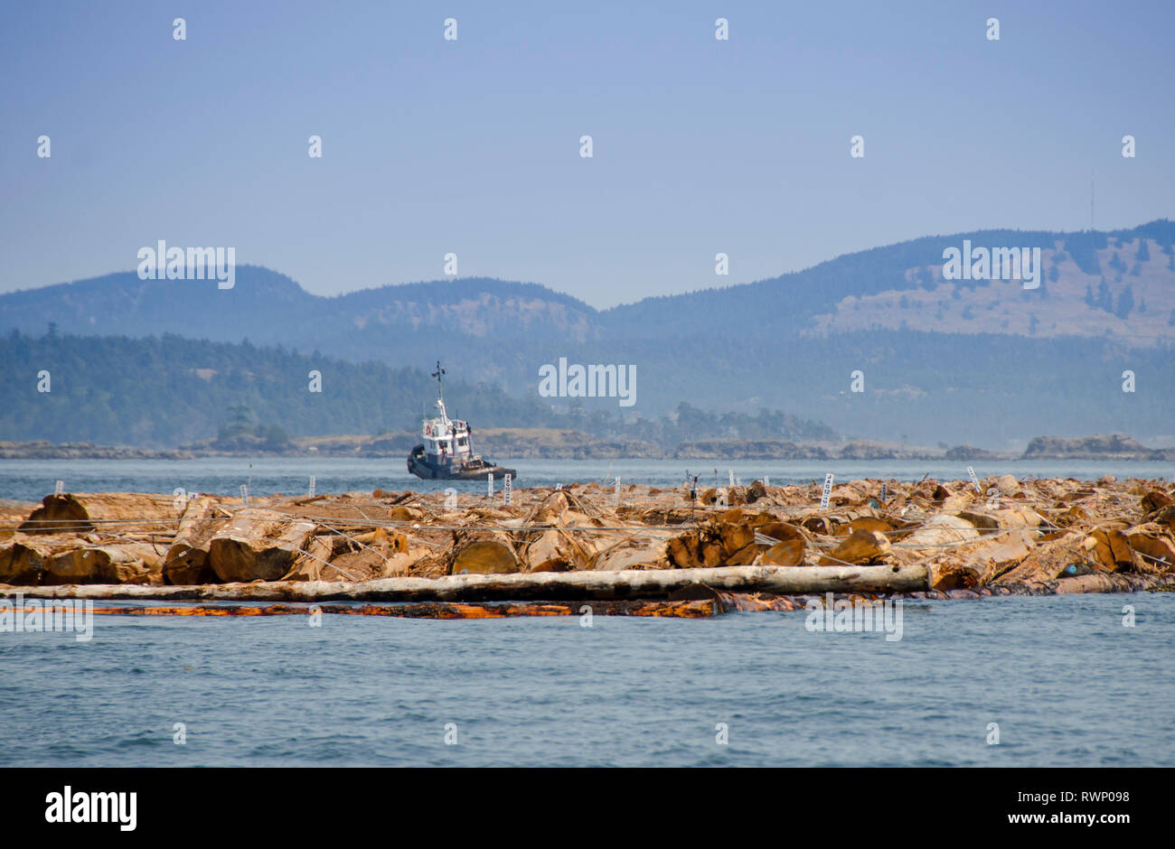 Tow Boot und Boom, Victoria, British Columbia, Kanada Stockfoto