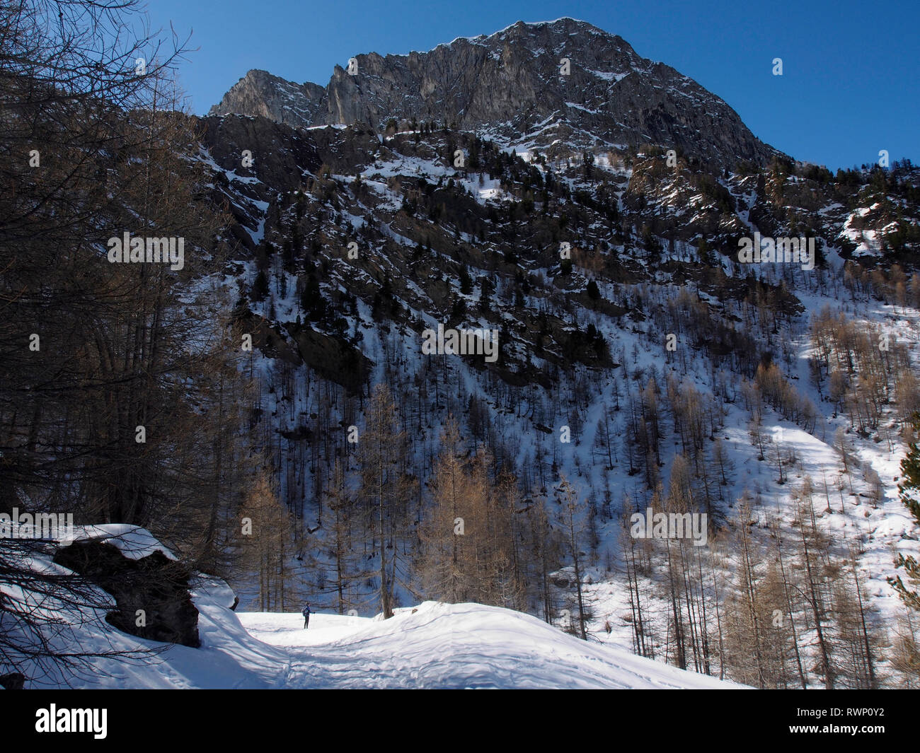 Schneeschuhwandern in Haut Guil Tal, Parc Regional de Queyras, Frankreich Stockfoto