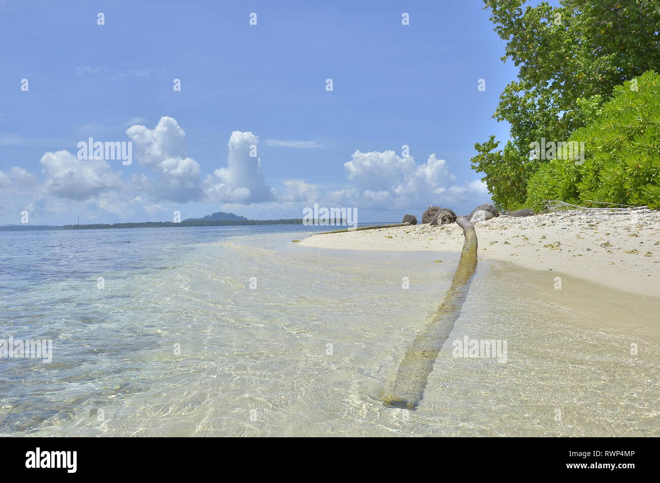 In Wirklichkeit verloren Stockfoto