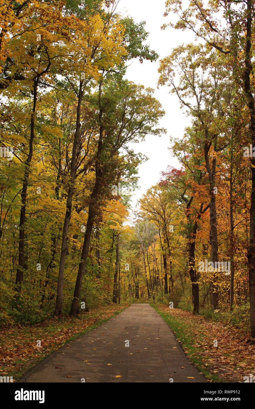 Ein gepflasterter Weg durch einen Wald bewahren mit Herbstlaub in Petrifying Springs Park in Kenosha, Wisconsin, USA Stockfoto