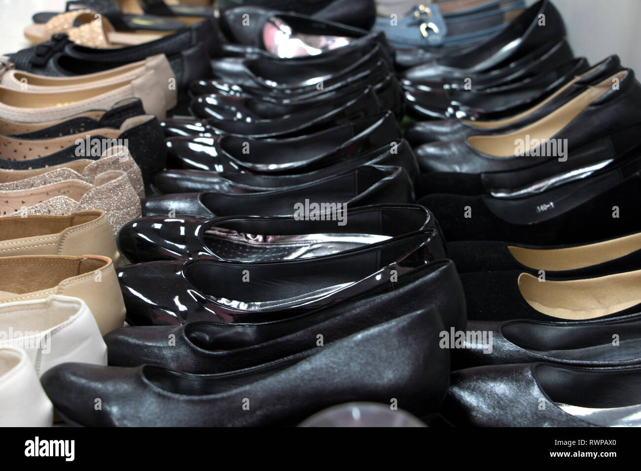 Damenschuhe in Varianten im Shop anbieten. Weibliche Schuhe in einer Reihe. Stockfoto