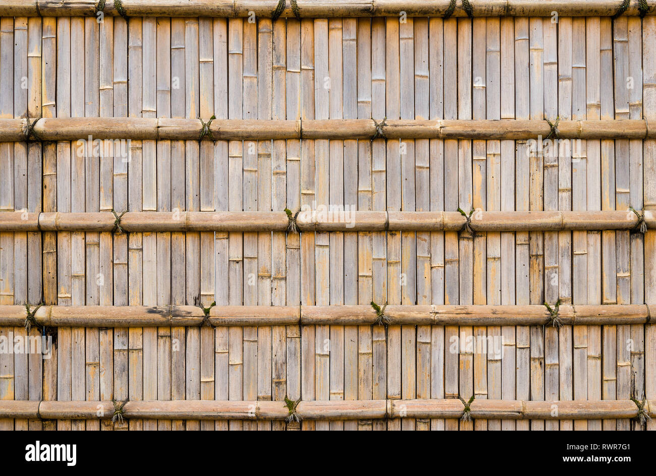 Japanische Bambus Zuckerrohr Wand Hintergrund Stockfoto