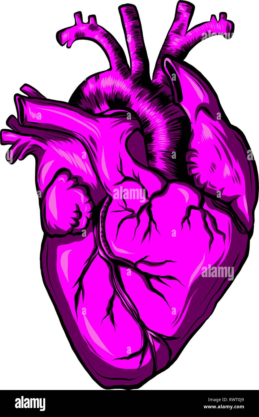 Abbildung: Bunte menschliche Herz von Pink Stock Vektor