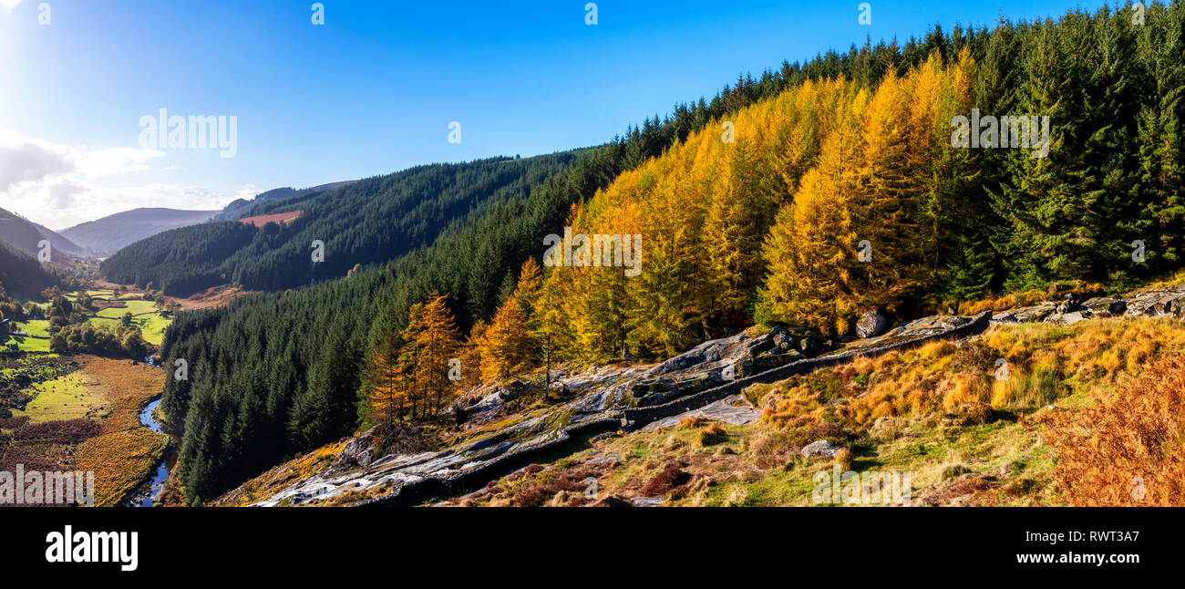 Glenmacnass Wasserfall auf dem alten Heerweg, Glendalough, Grafschaft Wicklow Stockfoto