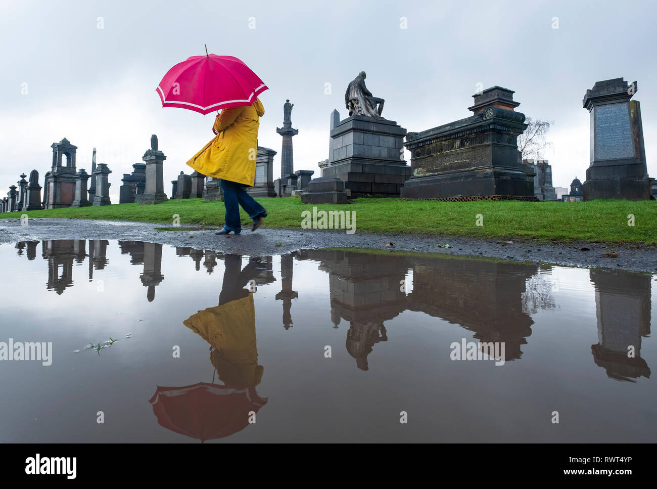 Frau in Gelb und Rot Regenschirm in Pfütze wandern in Nekropole Friedhof in Glasgow, Schottland, Großbritannien wider Stockfoto