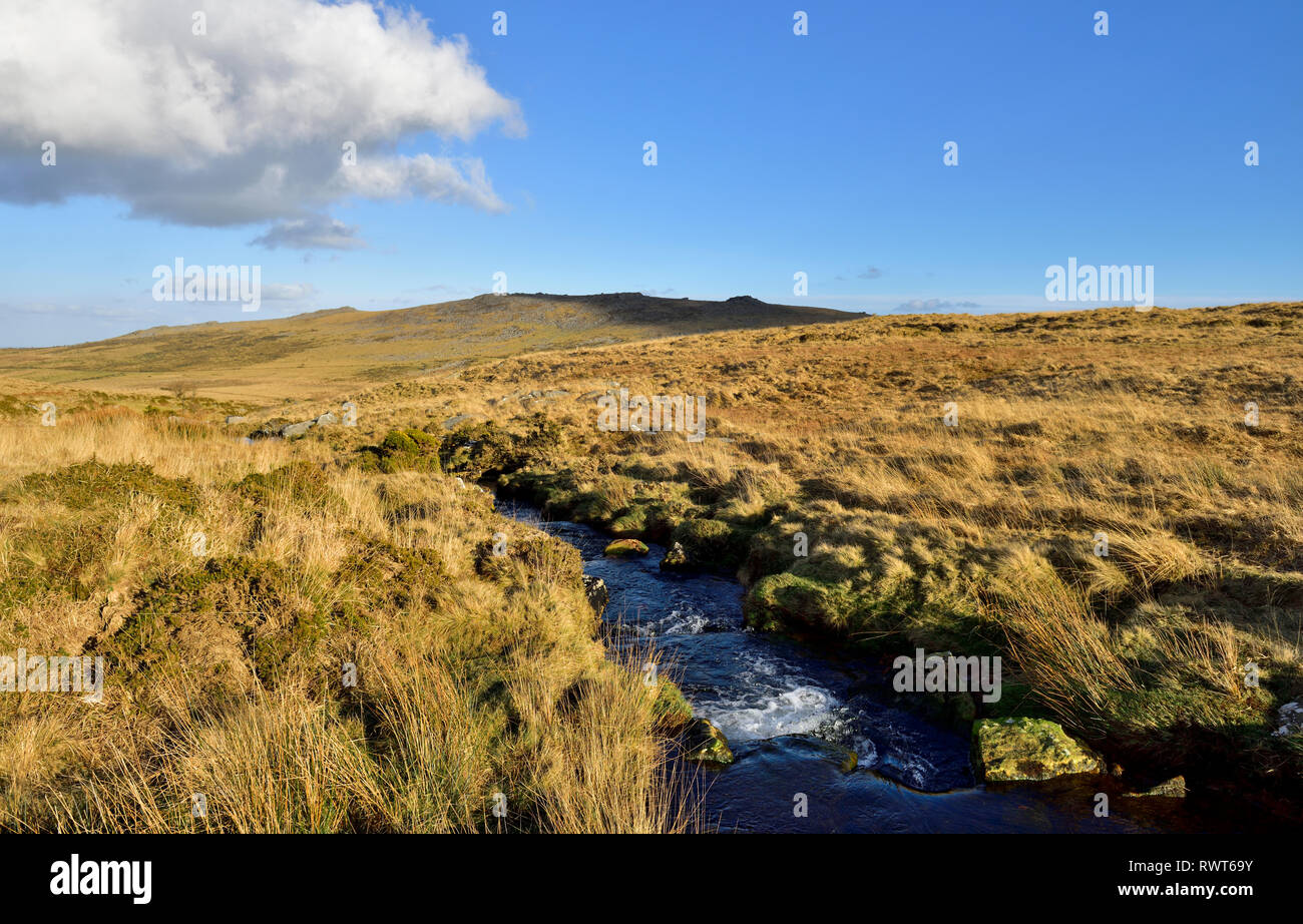 Dartmoor National Park mit Bach, Devon, England Stockfoto