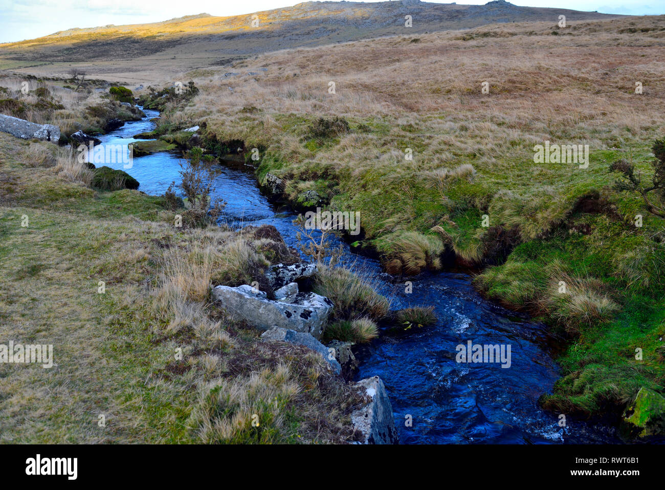 Schwarz-a-ven Bach mit fließendem Wasser durch sumpfige Gebiet, Hartor Hill am Moor, Dartmoor National Park, Devon, England Stockfoto