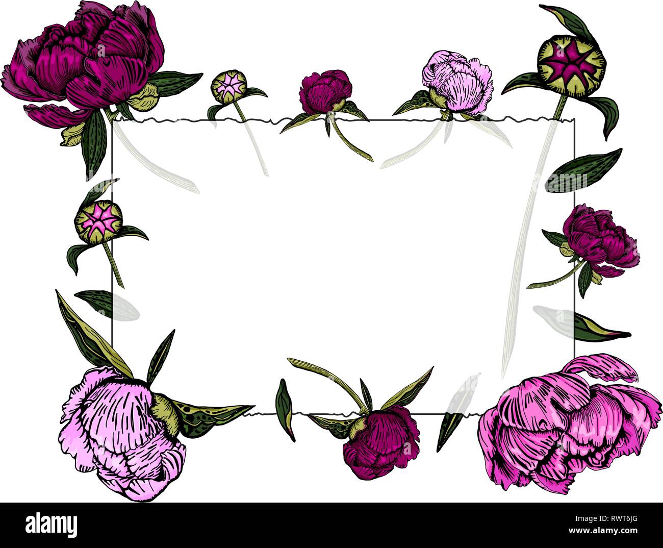 Vector Illustration Von Transparenten Rahmen Mit Magenta Und