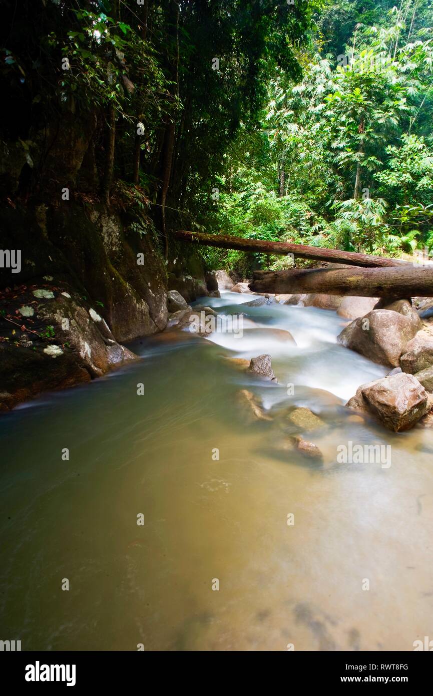 Kuala Kubu Fisch Heiligtum Stockfoto