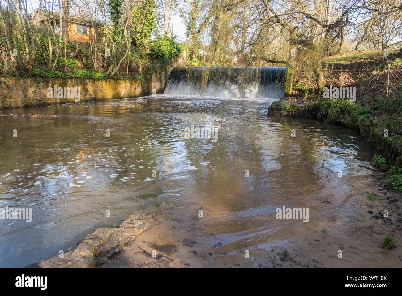 Die wehr auf dem Fluss Ffa bei Sidmouth, Devon, mit Weiden gerade beginnen, Farbe. Stockfoto