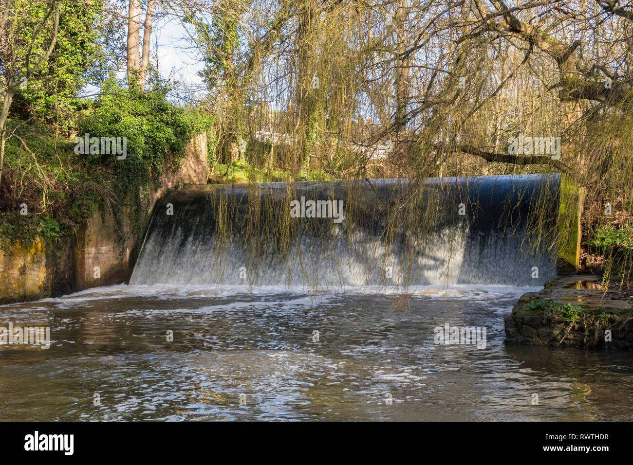 Die wehr auf dem Fluss Ffa bei Sidmouth, Devon, mit Weiden gerade beginnen, Farbe. Stockfoto