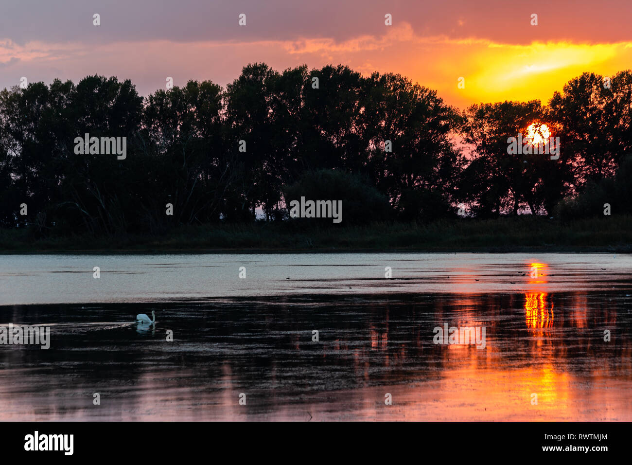 Sonnenuntergang Szene über den See, die Sonne, die hinter einigen Bäumen und auf dem Wasser widerspiegeln Stockfoto