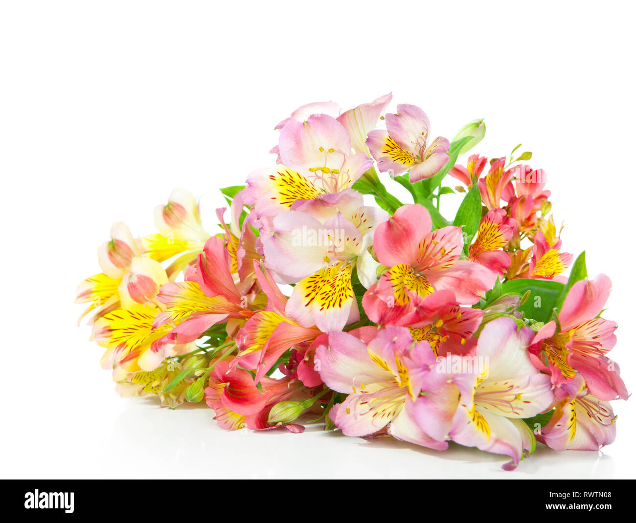 Blumenstrauß von Alstroemeria Blumen liegen auf einem weißen Hintergrund. Konzentrieren Sie sich auf die Mitte des Bouquet. Stockfoto