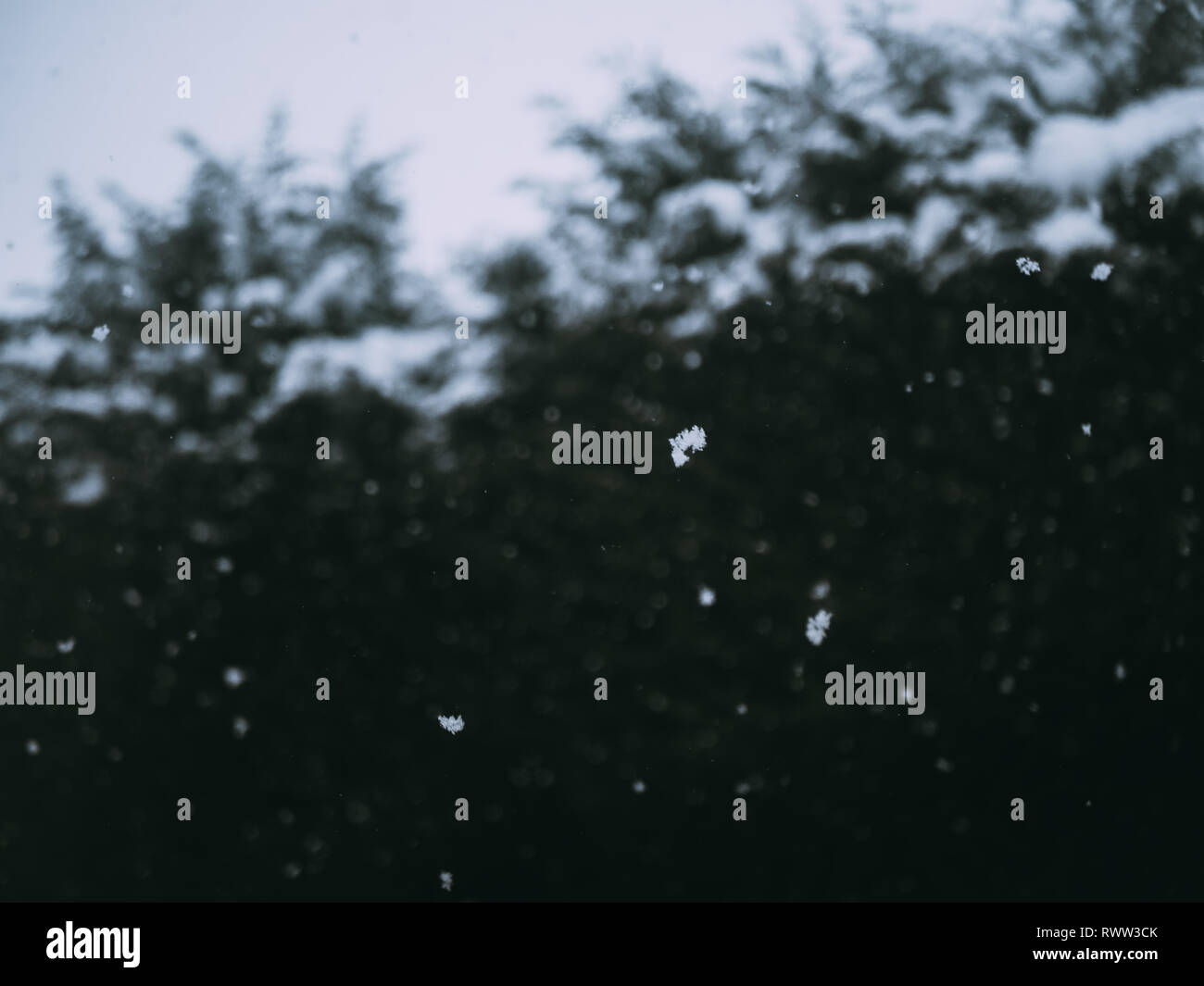 Chippenham Schnee Stockfoto