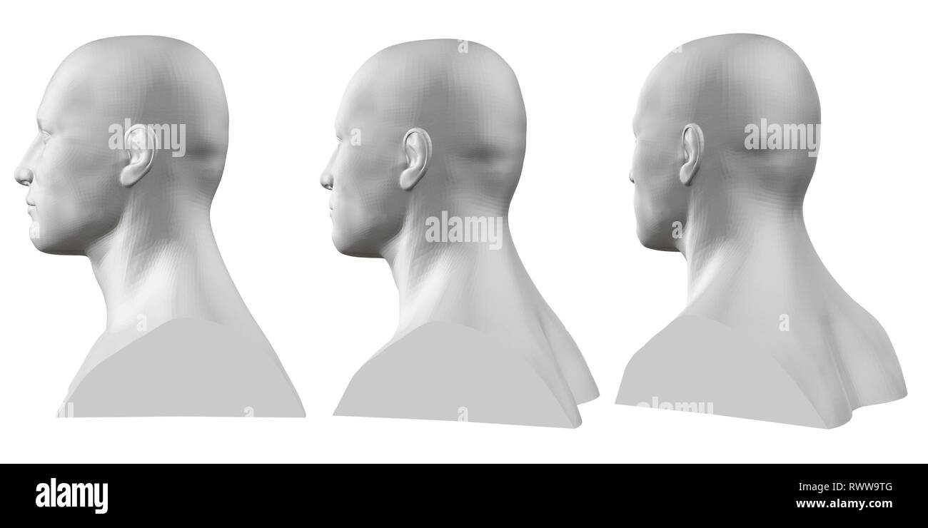Vektor einrichten von isolierten männliche Büsten von Schaufensterpuppen auf weißem Hintergrund. 3D. Männliche Büste von verschiedenen Seiten. Vector Illustration Stock Vektor