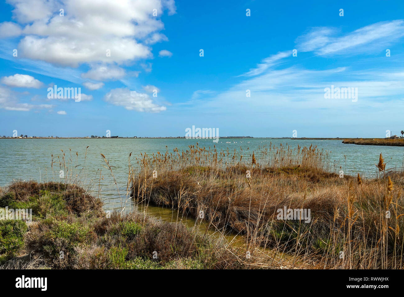 Weite Flächen, Seen und Schilfflächen, das Ebro-delta Naturschutzgebiet, in der Nähe von Amposta, Katalonien, Spanien Stockfoto