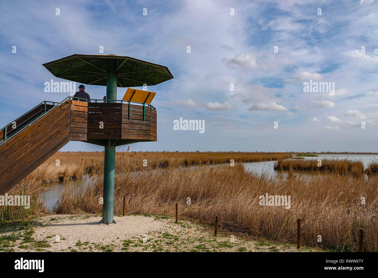 Vogel mit Sonnenschirm verstecken, und weiten, offenen Flächen, Seen und Schilfflächen, das Ebro-delta Naturschutzgebiet, in der Nähe von Amposta, Katalonien, Spanien Stockfoto