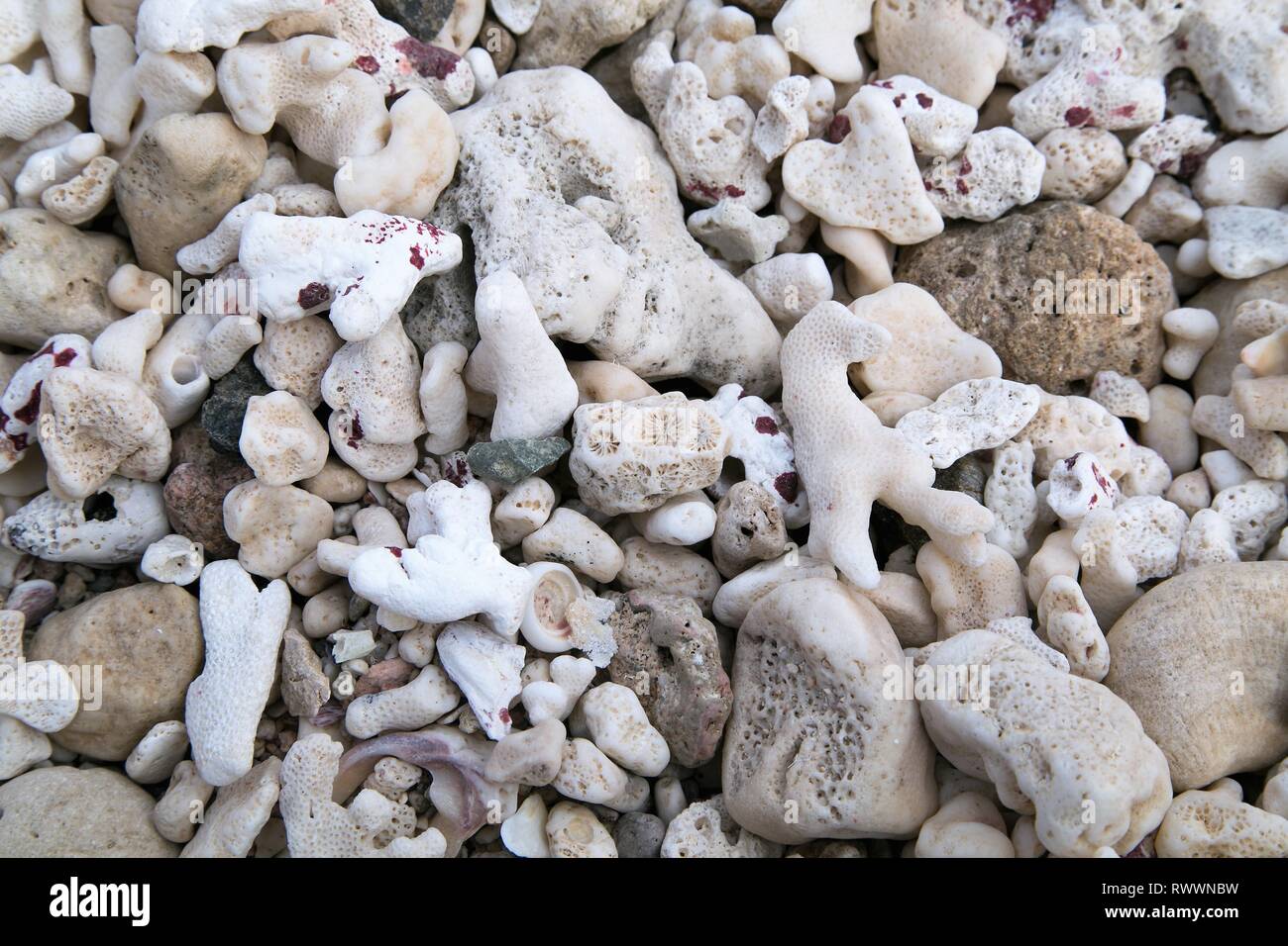 Natürliche Hintergrund der Tanks durch das Meer Stockfoto