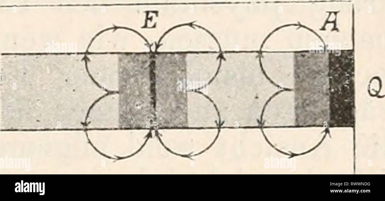 Elektrophysiologie Elektrophysiologie (1895) elektrophysiolog 00 bied Jahr: 1895 Sterben elektromotorischen Wirkungen der Nerven. 731 wissen Jonen beladen, gleichsam als ob sie durch einen von aussen zugeführten Strom polarizirt worden wären". Es wurde schon eine Geschichte Stelle bemerkt, dass Bernstein in Grund of this "elek-trochemischen Molekulartheorie 'alle galvanischen Erschei-nungen der Muskeln und Nerven zu erklären bestrebt ist. Es darf aber füglich bezweifelt werden, ob derartige weitgehende und detaillirte Speculationen über Molekularstructur und den Aufbau der lebenden Substanzen besser ge Stockfoto