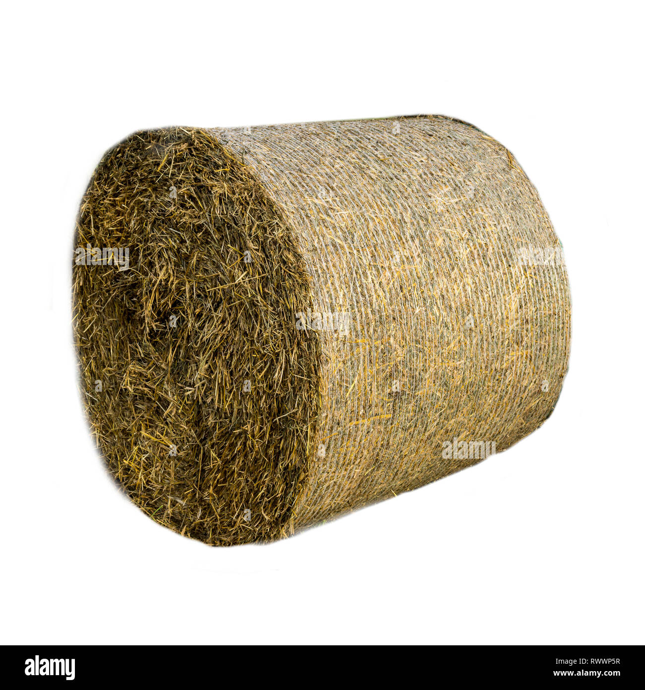 Rundballen Stroh mit Gitter abgedeckt. Stroh ist ein weit verbreitetes organisches Material für Bettzeug Vieh auf einer Molkerei. Isoliert Foto. Stockfoto