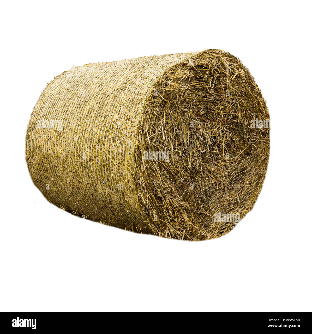 Rundballen Stroh mit Gitter abgedeckt. Stroh ist ein weit verbreitetes organisches Material für Bettzeug Vieh auf einer Molkerei. Isoliert Foto. Stockfoto