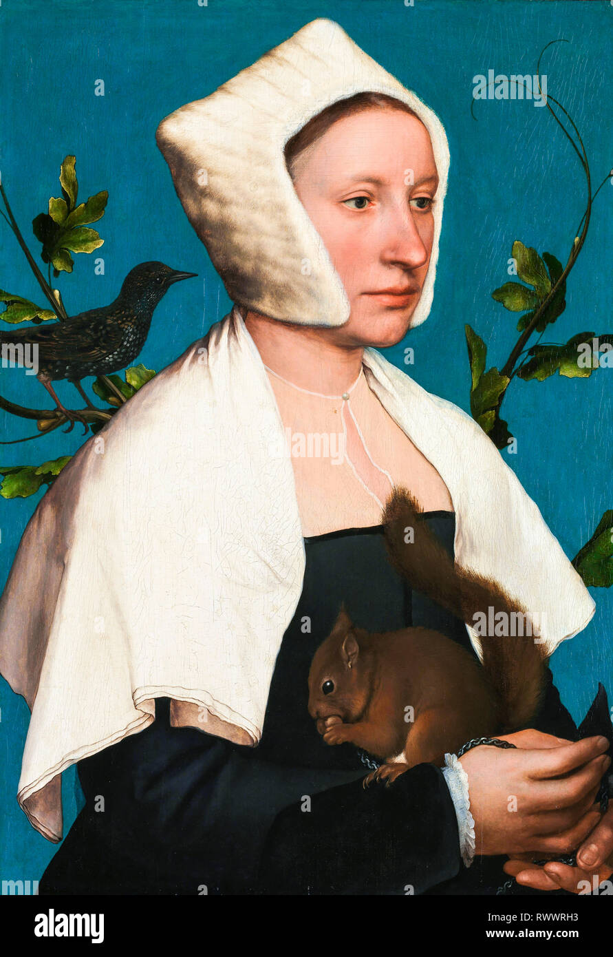 Eine Dame mit Eichhörnchen und Starling, Porträtmalerei, Hans Holbein der Jüngere, c. 1526-1528 Stockfoto