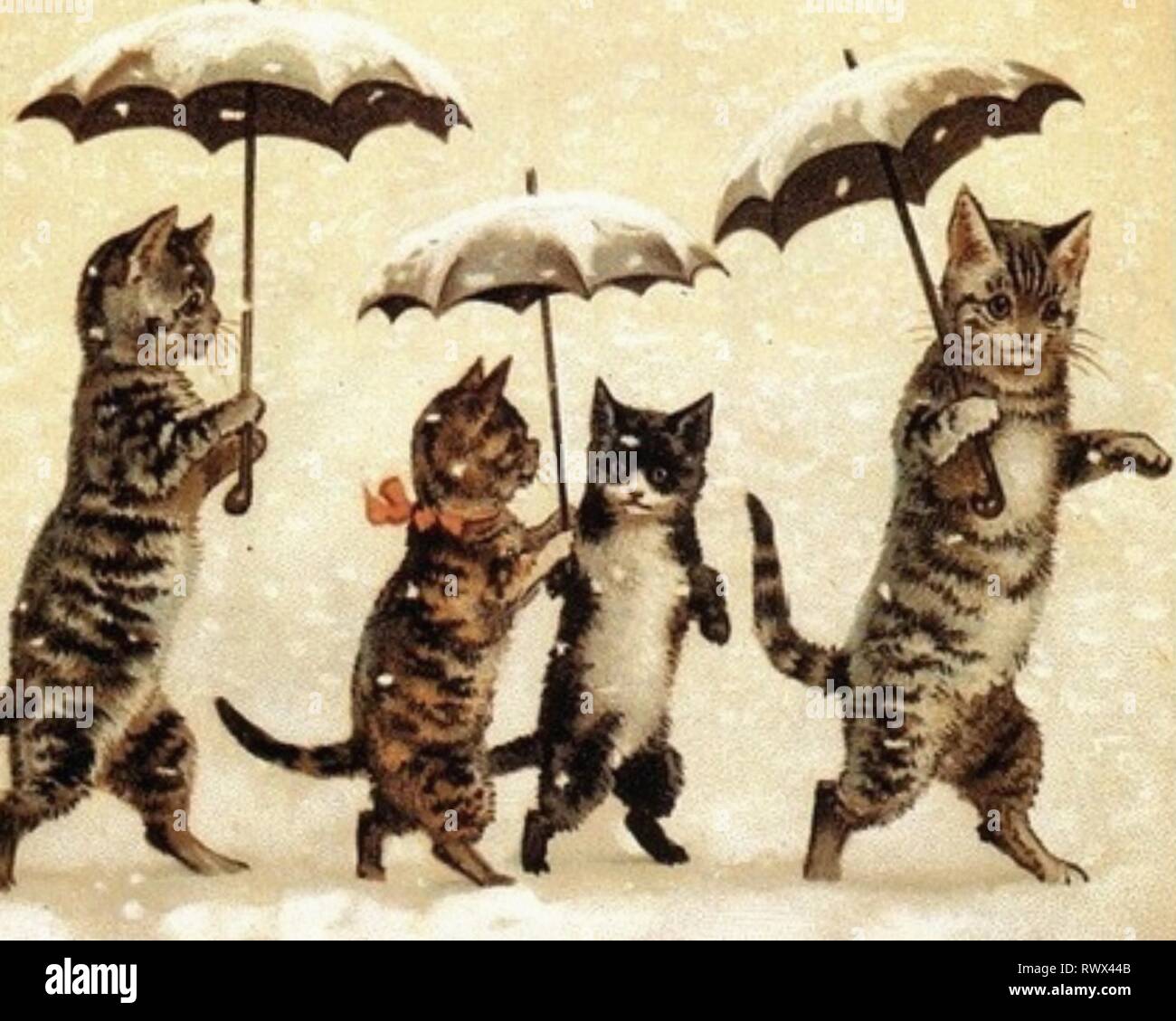 Süße Katzen mit Sonnenschirmen im Schnee Stockfoto
