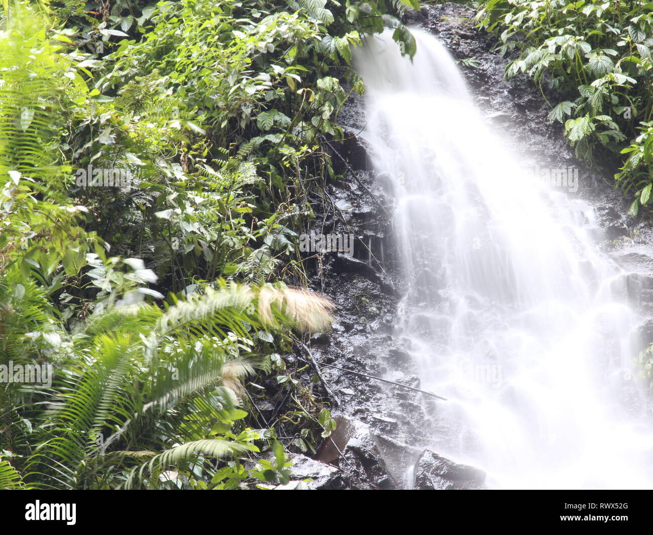 Ein kleiner Wasserfall, der in einen unberührten Fluss mündet, eignet sich zur Illustration eines noch immer schönen tropischen Waldes Stockfoto