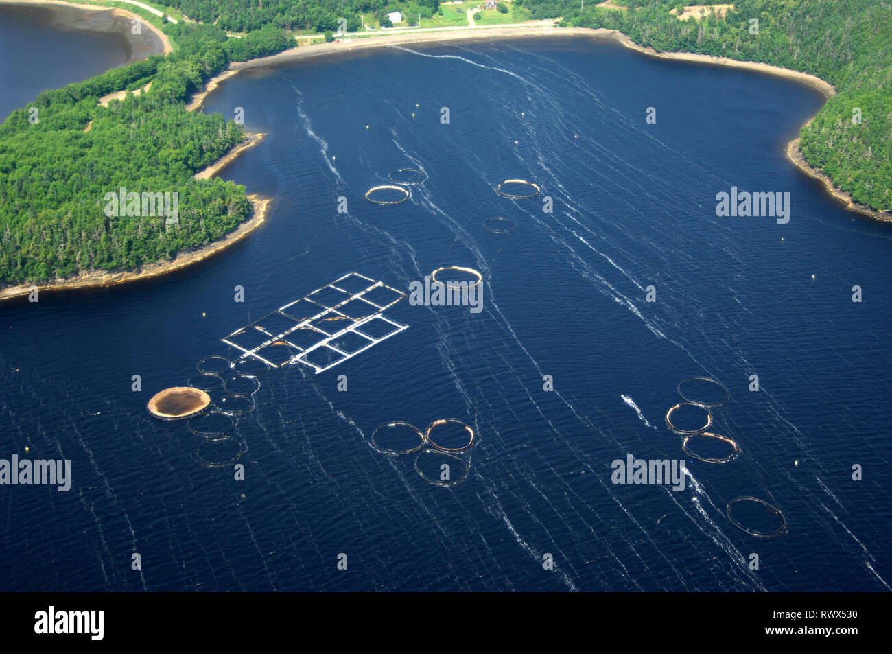 Antenne, Aquakultur, Fisch, Stifte, St Alban's, Neufundland Stockfoto