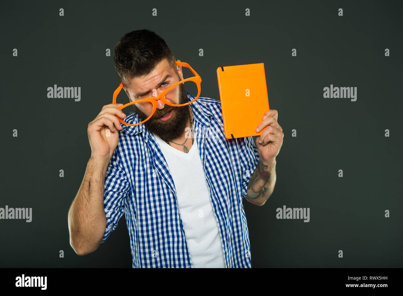 Download Humor lernen lustig Desktop Wallpaper Free