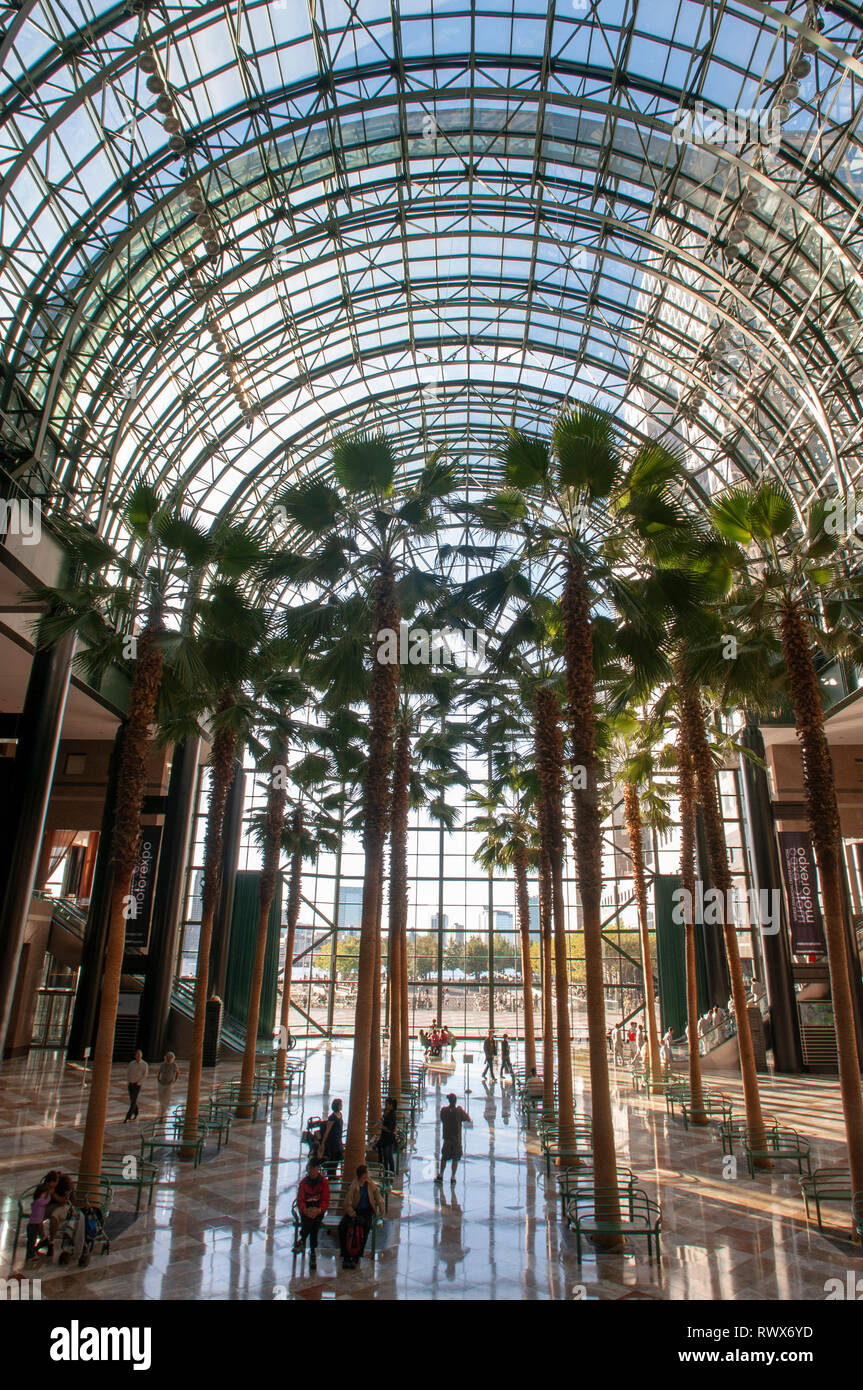 Im World Financial Center büro Gebäude im Finanzdistrikt von Manhattan. World Financial Center. Wintergarten Atrium in Brookfield Stockfoto