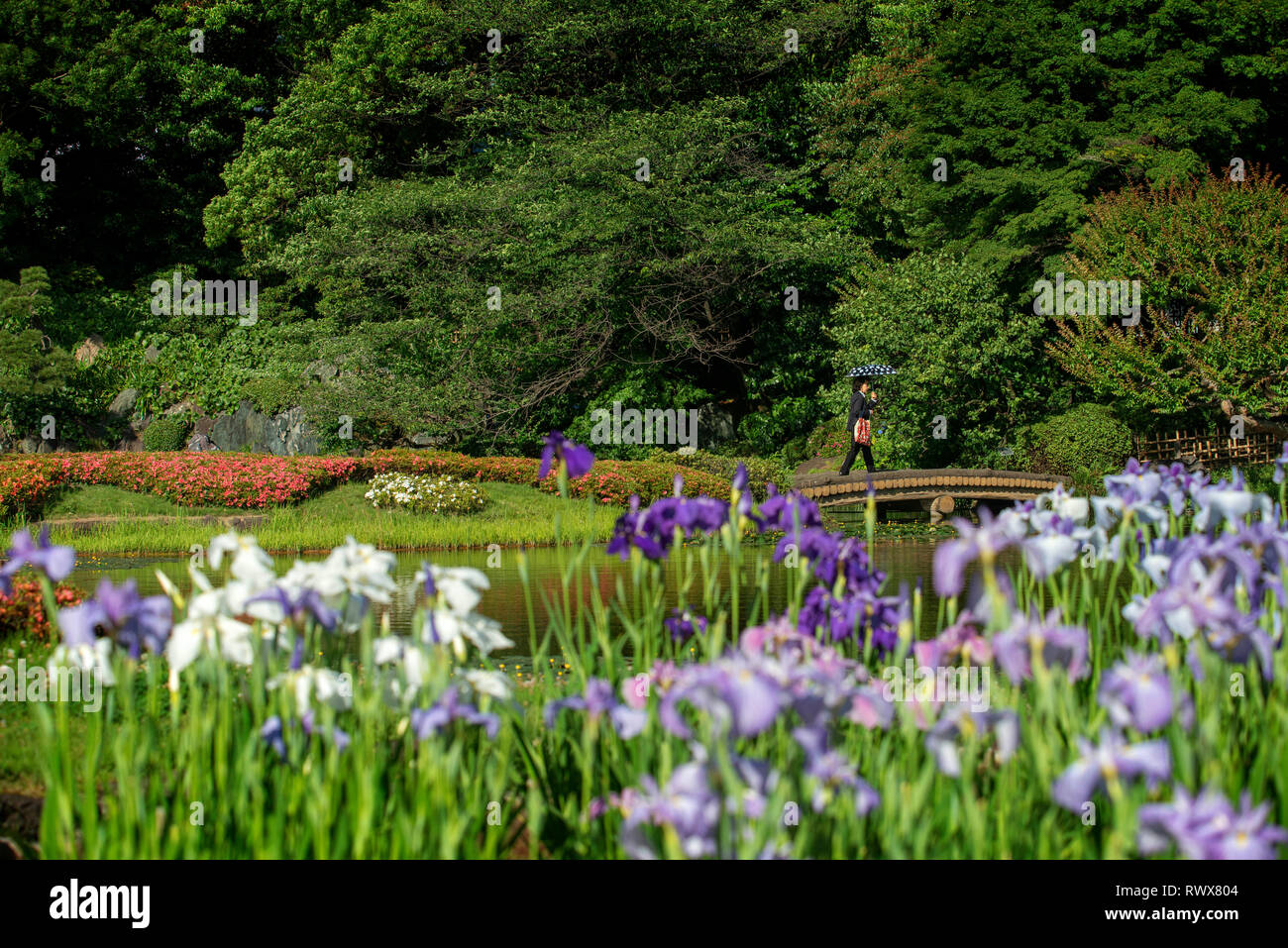 Gärten der Imperial Palace Karte in Tokyo City, Japan Stockfoto