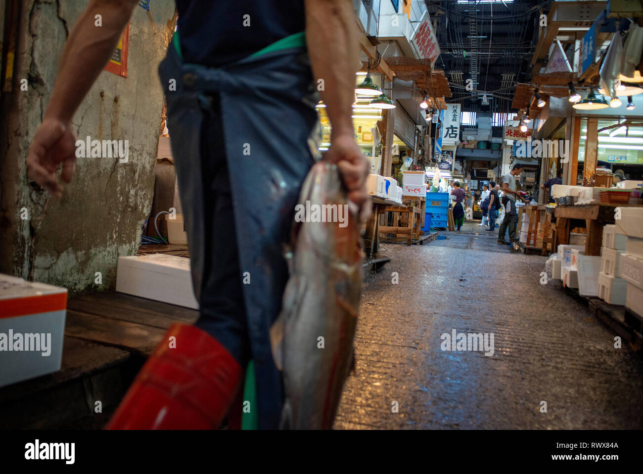 Tsukiji Fischmarkt, Tokio, Japan, Asien, der größte Großhandel Meeresfrüchte-Markt in der Welt. Ansicht von Geschäften, Verkaufsständen, Menschen Stockfoto