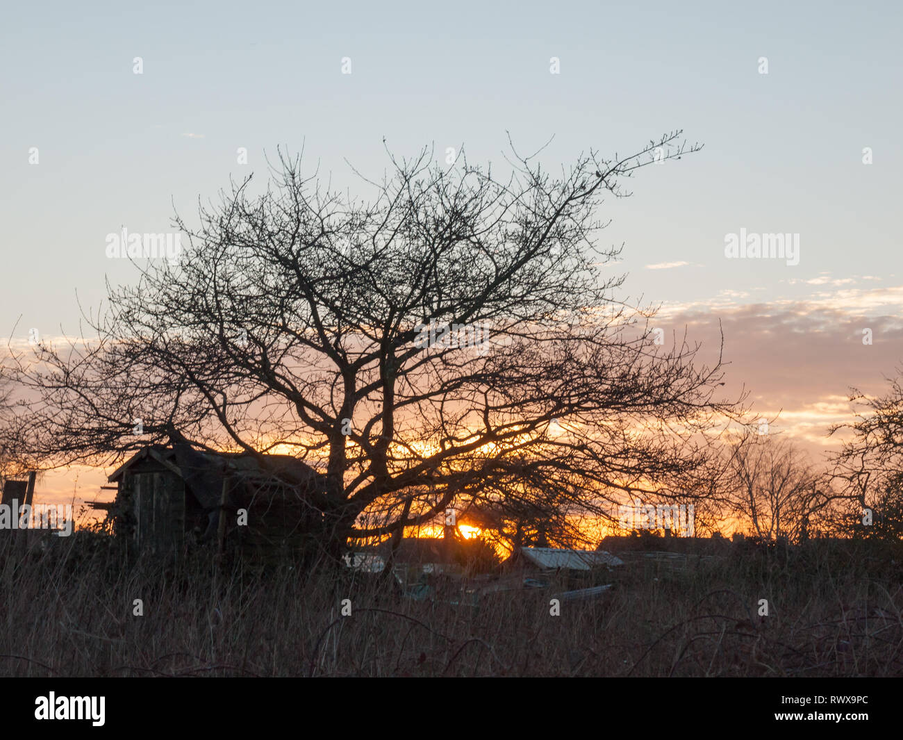 Wunderschöne Landschaft Dedham wasser Szene außerhalb der Natur Landschaft, Essex, England, Großbritannien Stockfoto