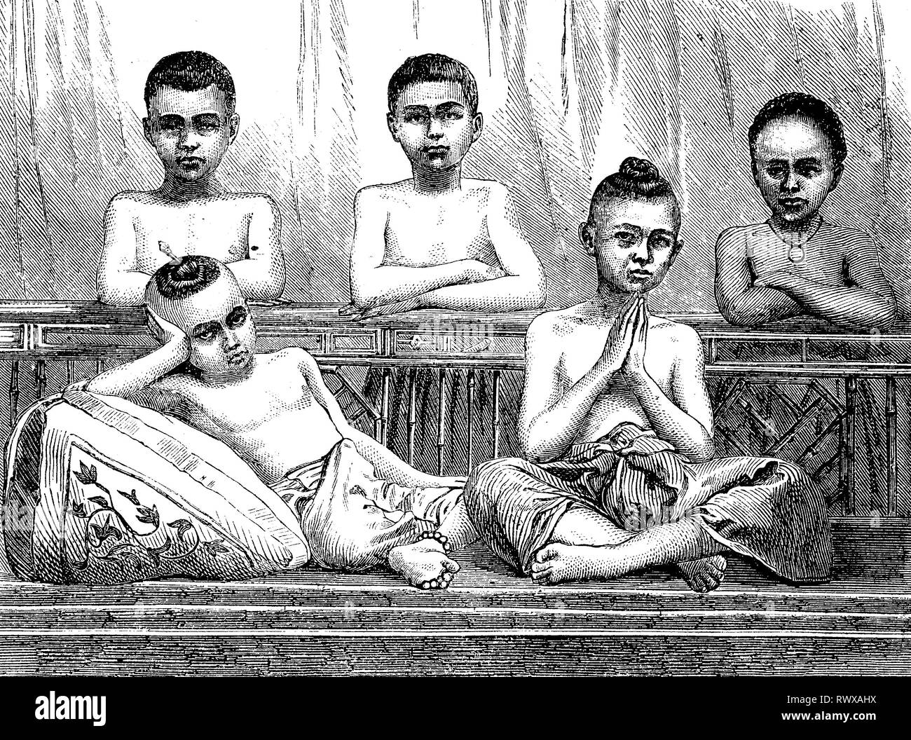 Novizen, Tempelschueler im Buddhismus in Thailand / Novizen, Tempelschüler im buddhismus in thailand Stockfoto