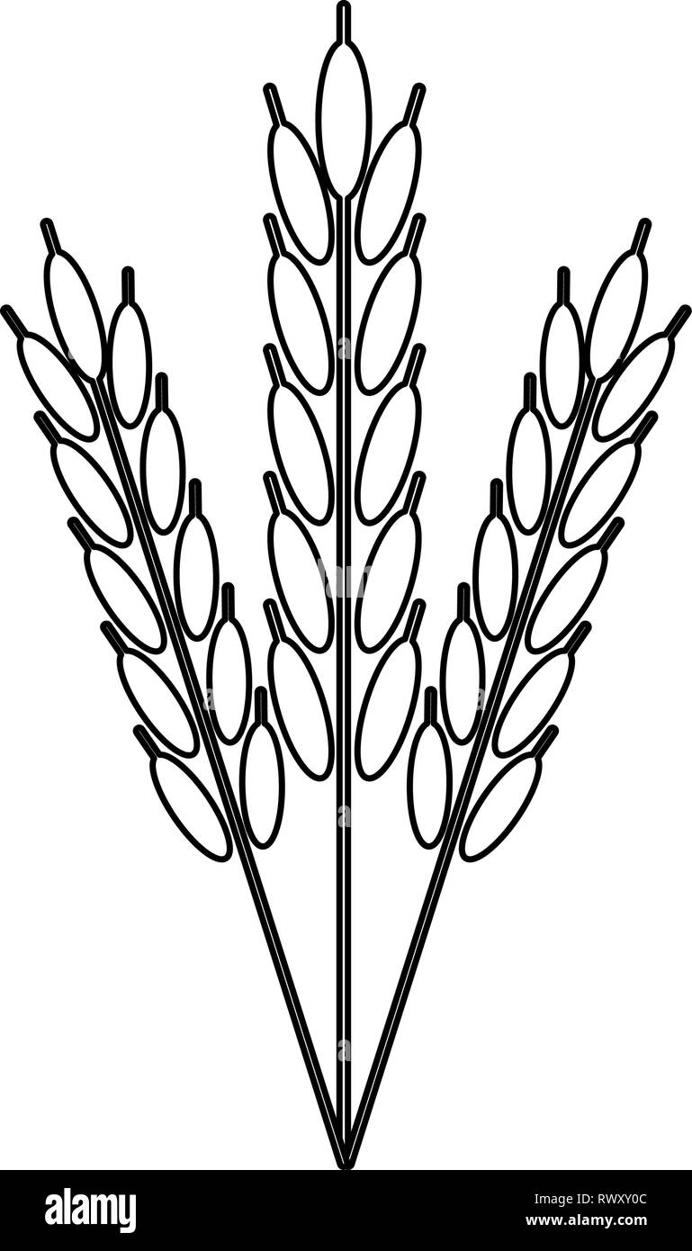 Weizen Naturliche Nahrung Symbol In Schwarz Und Weiss Stock Vektorgrafik Alamy