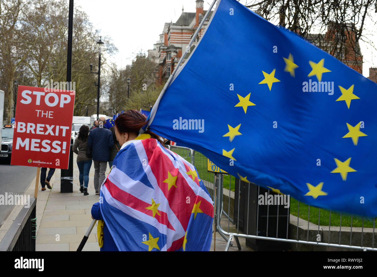 Westminster, London, Großbritannien. 7. Mär 2019. Anti-Brexit Aktivist gegenüber Palast von Westminster in London demonstrieren. Quelle: Thomas Krych/Alamy leben Nachrichten Stockfoto