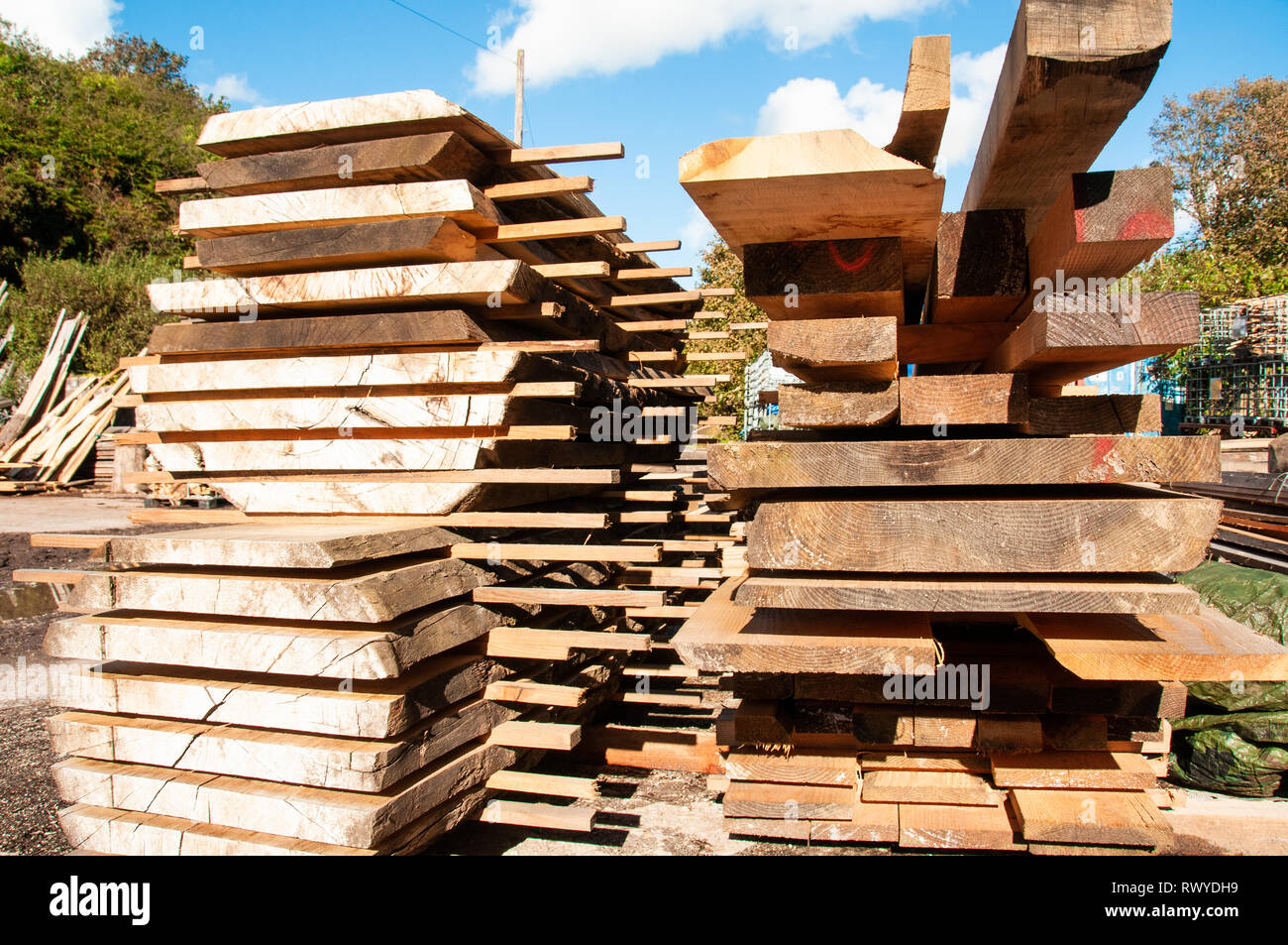 Längen von Holz im Garten gestapelt Stockfoto