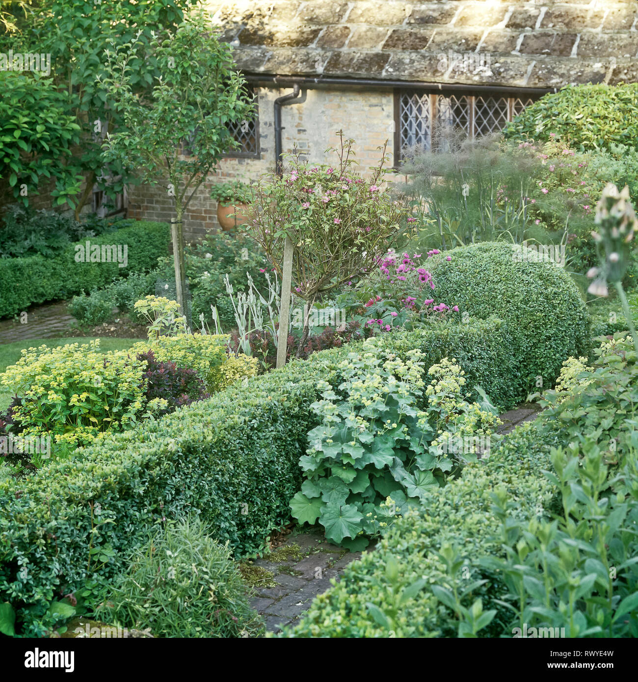 Garten mit Hedge Stockfoto