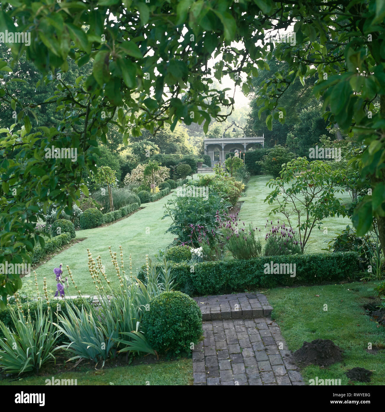 Garten mit Hecken Stockfoto