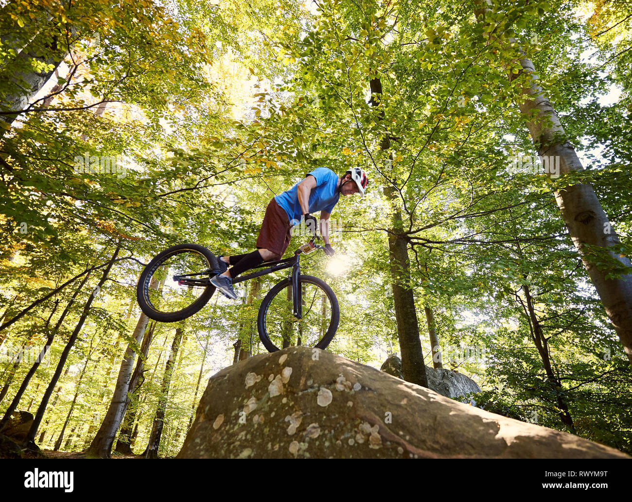 Junge Radfahrer stehen auf Vorderrad auf Trial Bike. Sportler Reiter balancing am Rande des Big Boulder im Wald an einem sonnigen Tag. Konzept der Extreme Sport aktiven Lebensstil Stockfoto