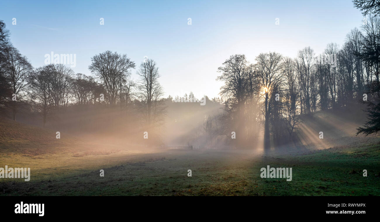 Am frühen Morgen Nebel und Sonnenlicht durch Bäume im Winter. Blenheim Park, Woodstock, Oxfordshire, England Stockfoto