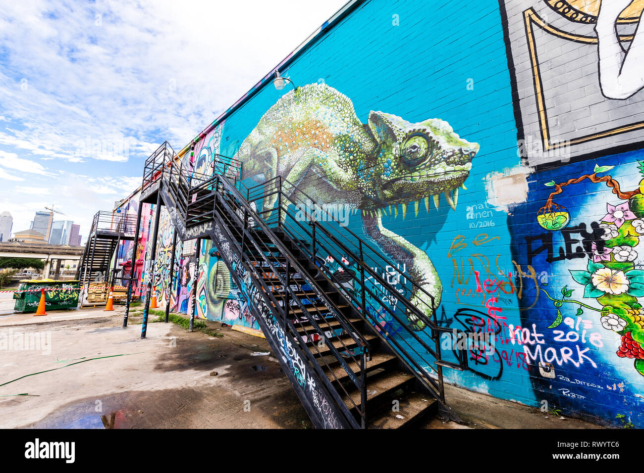 Chameleon Graffiti durch einige talentierte Künstler in der Innenstadt von Houston, TX Stockfoto
