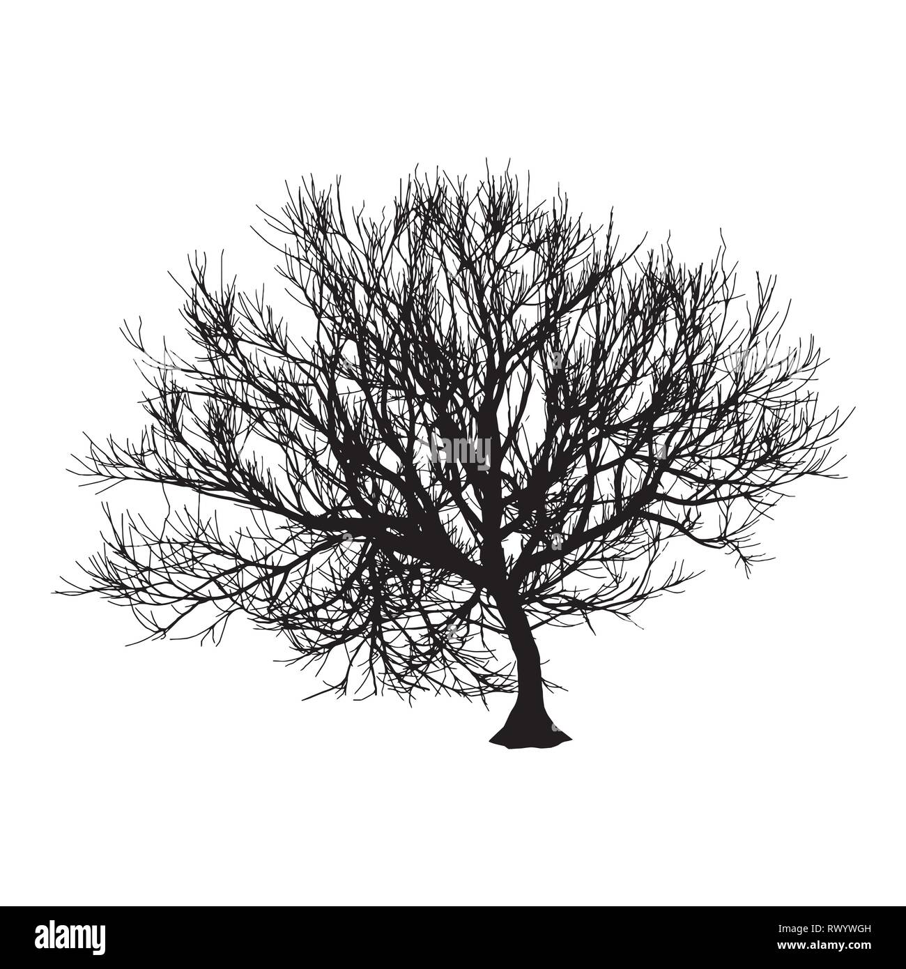 Schwarz trockenen Baum Winter oder Herbst Silhouette auf weißem Hintergrund. Vector EPS 10 Abbildung Stock Vektor