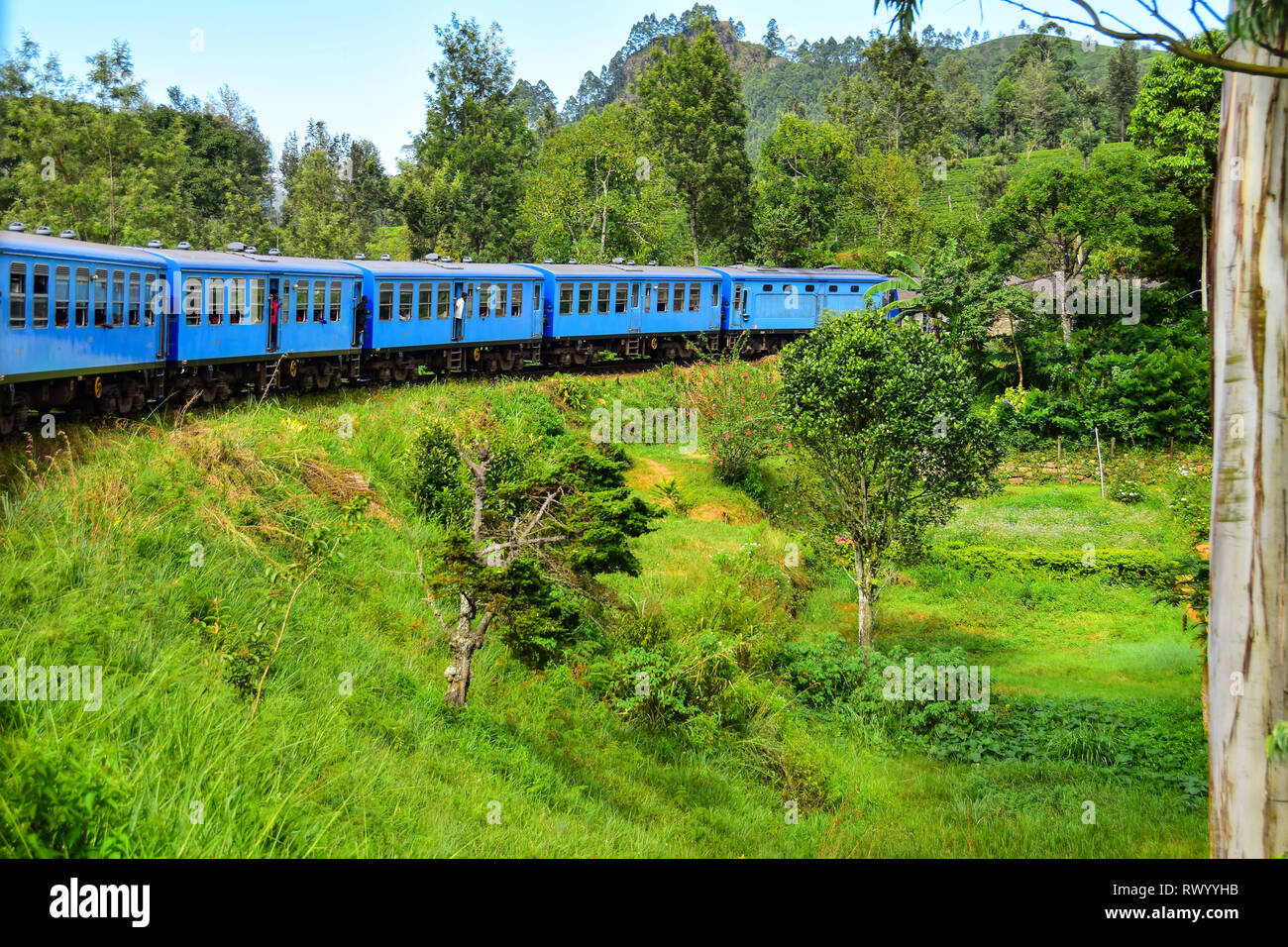 Sri Lankan Blue Train ride Rubrik durch Hill Country- und Teeplantagen von Colombo nach Kandy, Nuwara Eliya, Ella, Badulla, Sri Lanka Stockfoto