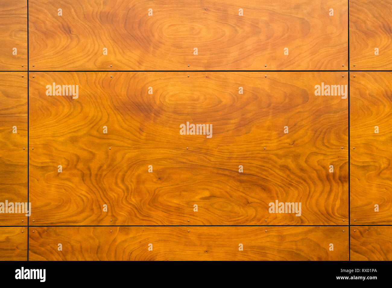 Holz Textur Panels an einer Wand. Natürliche Holz Hintergrund. Stockfoto
