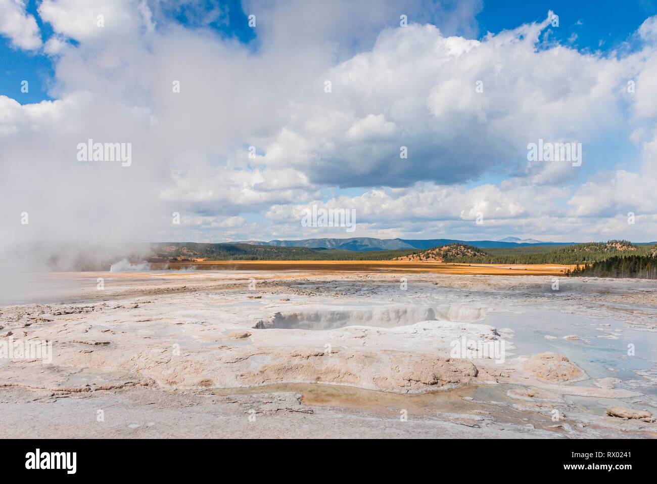 Dampfend heißer Frühling, schwarzer Sand Basin, Yellowstone National Park, Wyoming, USA Stockfoto