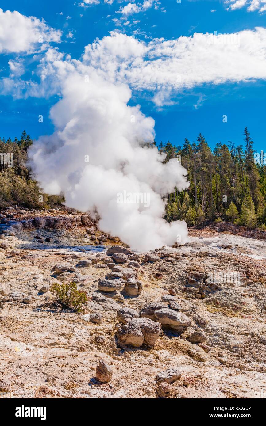 Steamboat Geysir, Norris zurück Waschbecken, Hot Spring, Noris Geyser Basin, Yellowstone National Park, Wyoming, USA Stockfoto