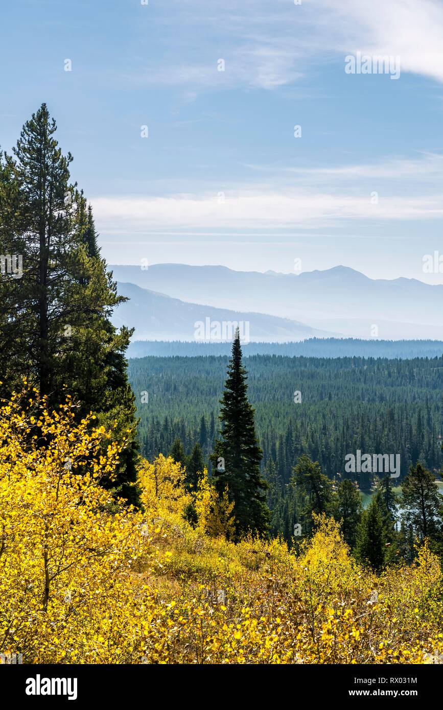 Herbst Wald, Blick auf die Berge und Hügel, Grand Tonne National Park, Wyoming, USA Stockfoto